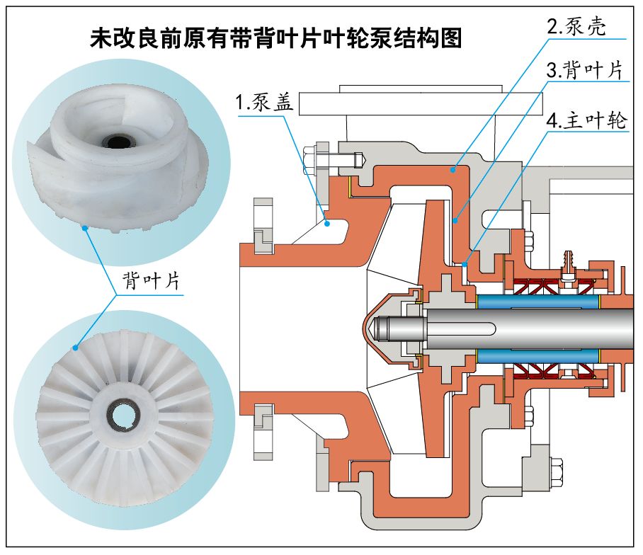 未改良前帶背葉片泵結構圖